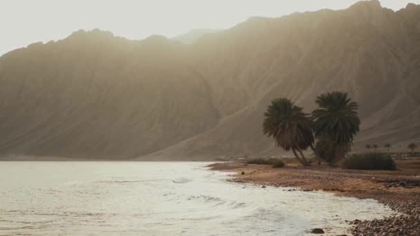 Закат над морем, пальмы на пляже и пустынные горы на заднем плане, замедленное движение, 4k — стоковое видео
