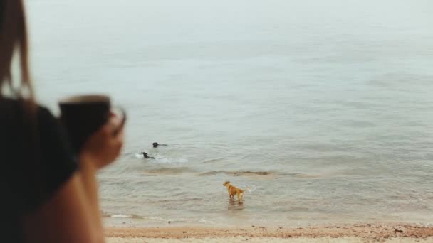 Ensam kvinna dricker kaffe eller te på morgonen på balkong med blå havsutsikt, hundar spelar i havsvattnet, snabb video, slow motion, 4k — Stockvideo