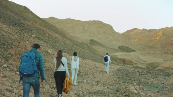 Gruppe von Touristen spazieren entlang der Felsschlucht in der heißen Wüste, Touristen fotografieren und amüsieren sich. Wüste Berge Hintergrund, Ägypten, Sinai, Zeitlupe, 4k — Stockvideo