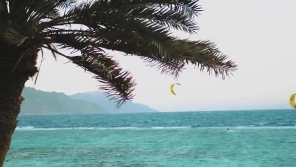 Kite surfing σε όμορφα καθαρά νερά στην Dahab Αίγυπτος. Εξερευνώντας τα γαλάζια νερά με τα βουνά στο παρασκήνιο και τους ανθρώπους windsurfing και kite surfing, αργή κίνηση, 4k — Αρχείο Βίντεο