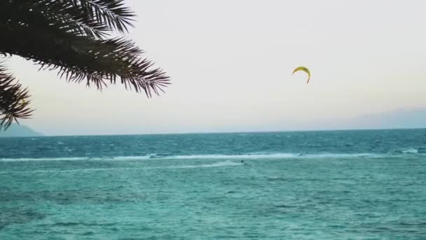 Kitesurfen im schönen klaren Wasser in Dahab Ägypten. Erkunden des blauen Wassers mit Bergen im Hintergrund und Menschen beim Windsurfen und Kitesurfen, Zeitlupe, 4k — Stockvideo