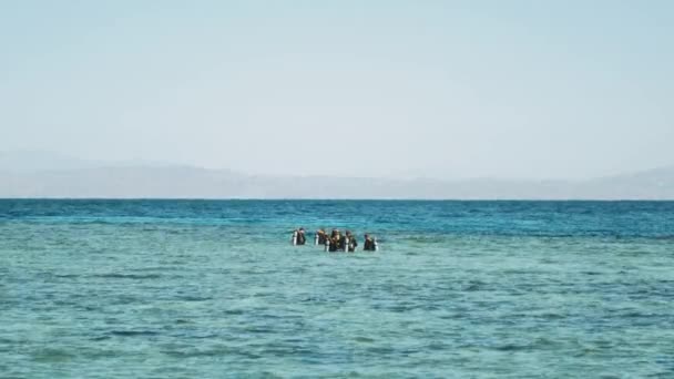 Bir grup scuba dalgıcı kırmızı denizde dalış yapıyor, güneşli bir günde ve açık suda, Dahab, Mısır 'da, yavaş çekimde, 4k — Stok video