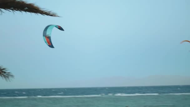 Latawce surfing w pięknej czystej wodzie w Dahab Egipt. Zwiedzanie błękitnej wody z górami w tle i ludzi windsurfing i kitesurfing, zwolnione tempo, 4k — Wideo stockowe