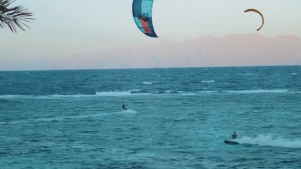 Latawce surfing w pięknej czystej wodzie w Dahab Egipt. Zwiedzanie błękitnej wody z górami w tle i ludzi windsurfing i kitesurfing, zwolnione tempo, 4k — Wideo stockowe