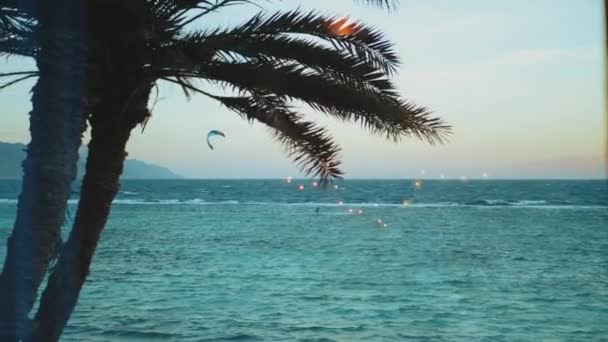 Kite surfing σε όμορφα καθαρά νερά στην Dahab Αίγυπτος. Εξερευνώντας τα γαλάζια νερά με τα βουνά στο παρασκήνιο και τους ανθρώπους windsurfing και kite surfing, αργή κίνηση, 4k — Αρχείο Βίντεο