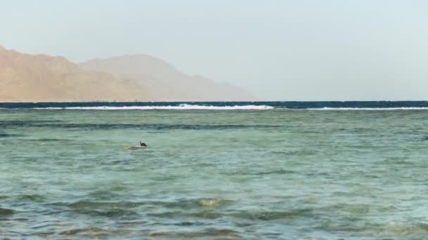 Människan snorkling i rött hav, Vackert landskap av blått hav och klar himmel, vågor i havet och bergen vid horisonten Egypten, Dahab, slow motion, 4k — Stockvideo