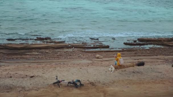 Mujer bonita con perro Labrador Retriever en la playa costera pedregosa cerca del mar, las olas se rompen en la orilla, Egipto Sinaí montaña en el fondo, cámara lenta, 4k — Vídeos de Stock