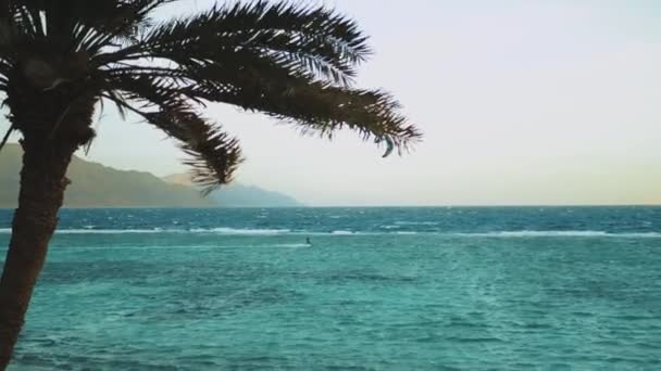 在埃及达哈布美丽清澈的海水中，风筝在冲浪。以高山为背景，以风帆、风筝冲浪、慢动作、 4k为代表的蓝色海水探险 — 图库视频影像