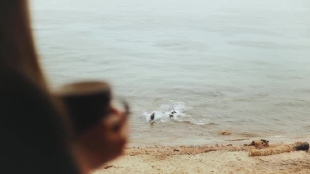 一人の女性は青い海の景色とバルコニーで朝のコーヒーやお茶を飲んでいる、犬は海の水で遊ぶ、迅速なビデオ、スローモーション、フルHD — ストック動画