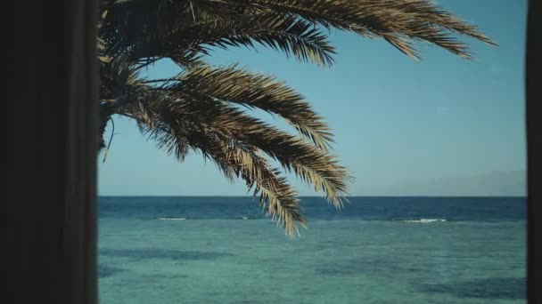 Ventana vista al mar, olas y palmeras, cielo azul, cámara lenta.Mar azul y cielo azul, horizonte, Egipto, Sinaí, full hd — Vídeo de stock