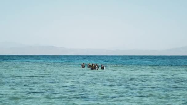 Búvárok egy csoportja búvárkodni megy a vörös tengerbe, napos nappal és tiszta víz Dahab, Egyiptom, lassított felvétel, teljes HD — Stock videók