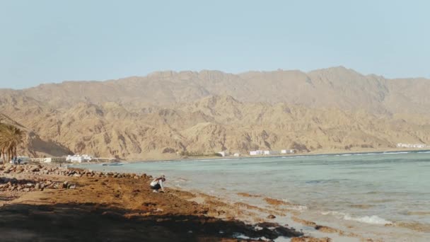 Прекрасная женщина, гуляющая в одиночестве по каменистому пляжу у моря, волны ломаются на берегу, египетская гора Синай на заднем плане, медленное движение, полный зал. — стоковое видео
