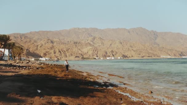 Deniz kıyısındaki taşlı sahilde tek başına yürüyen güzel bir kadın, dalgalar kıyıda kırılıyor, arka planda Mısır Sina dağı, yavaş çekim, tam kapasite — Stok video