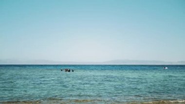 Bir grup scuba dalgıcı kızıl denizde dalış yapıyor, güneşli bir günde ve açık suda, Dahab, Mısır 'da, yavaş çekim, tam kapasite