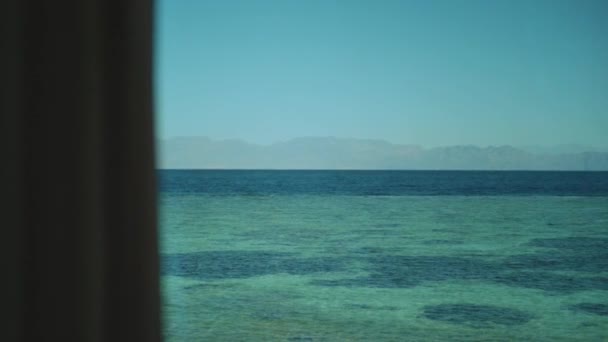 Vista janela para o mar, ondas e palmeira, céu azul, câmera lenta.Mar azul e céu azul, horizonte, Egito, Sinai, hd completo — Vídeo de Stock