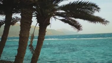 Dahab Mısır 'da temiz suda sörf yapan uçurtma. Arka planda dağlar olan mavi suyu keşfetmek ve insanlar rüzgar sörfü ve uçurtma sörfü, yavaş çekim, tam hd