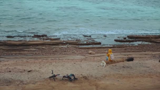 Mujer bonita con perro Labrador Retriever en la playa costera pedregosa cerca del mar, las olas se rompen en la orilla, Egipto Sinaí montaña en el fondo, cámara lenta, hd completa — Vídeos de Stock