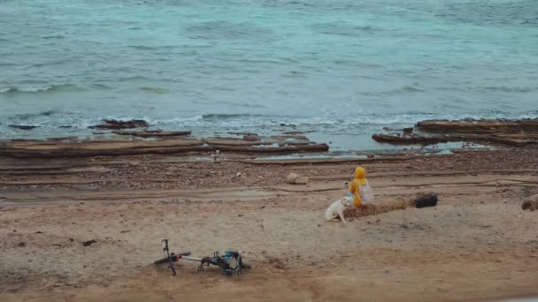 Mujer bonita con perro Labrador Retriever en la playa costera pedregosa cerca del mar, las olas se rompen en la orilla, Egipto Sinaí montaña en el fondo, cámara lenta, hd completa — Vídeos de Stock