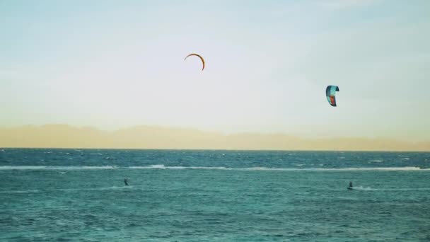 Drak surfování v krásné čisté vodě v Dahab Egypt. Prozkoumávání modré vody s horami v pozadí a lidé windsurfing a kite surfing, zpomalení, full hd — Stock video
