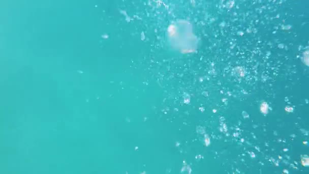 Plongée libre sur les coraux en Mer Rouge, Dahab Egypte, Eau de mer claire, bulles sous-marines, Dahab Egypte, 4k — Video