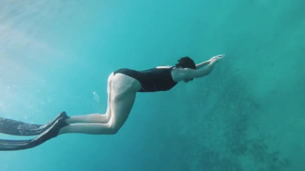 Freediver em corais em Mar Vermelho, bela jovem nadando debaixo d 'água em água do mar azul, Dahab Egito, 4k — Vídeo de Stock