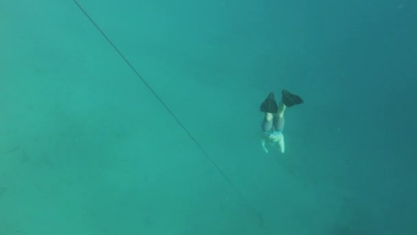 Freediver en los corales en el Mar Rojo, Hermosa joven nadando bajo el agua en el agua azul del mar, Dahab Egipto, 4k — Vídeo de stock