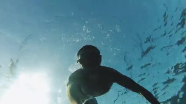 Freediver em corais em Mar Vermelho, Dahab Egito, Homem nadando subaquático em água do mar azul, 4k — Vídeo de Stock