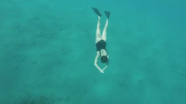 Kızıl denizdeki mercanlar üzerinde freediver, mavi deniz suyunda yüzen güzel genç kadın, Dahab Mısır, tam kapasite.