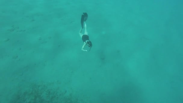 Freediver en los corales en el Mar Rojo, Hermosa joven nadando bajo el agua en el agua azul del mar, Dahab Egipto, hd completo — Vídeo de stock