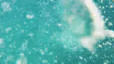 Kızıl denizde serbest dalış, berrak deniz suyu, su altında kabarcıklar, Dahab Mısır, tam kapasite