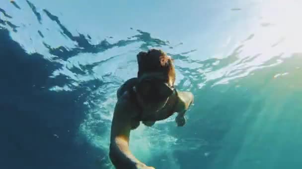 Freitaucher auf Korallen im Roten Meer, Schöne junge Frau schwimmt unter Wasser im blauen Meerwasser, Dahab Ägypten, voll hd — Stockvideo