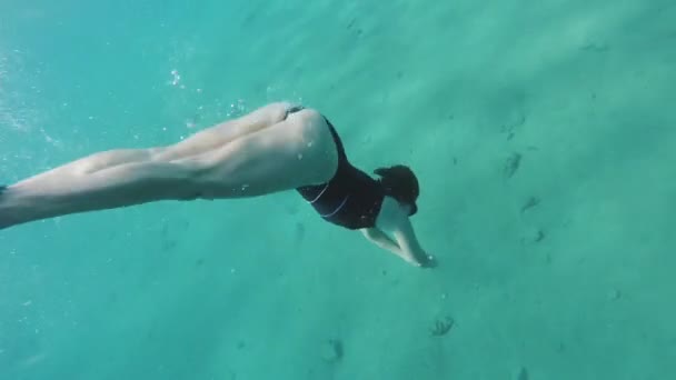 Freediver en los corales en el Mar Rojo, Hermosa joven nadando bajo el agua en el agua azul del mar, Dahab Egipto, hd completo — Vídeos de Stock