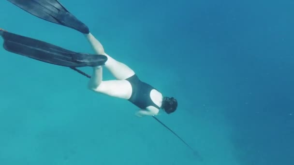 Freitaucher auf Korallen im Roten Meer, Schöne junge Frau schwimmt unter Wasser im blauen Meerwasser, Dahab Ägypten, voll hd — Stockvideo
