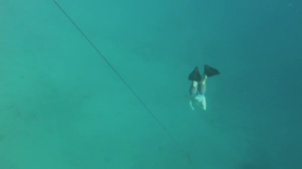 Freediver en los corales en el Mar Rojo, Hermosa joven nadando bajo el agua en el agua azul del mar, Dahab Egipto, hd completo — Vídeo de stock