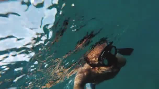 Freediver en los corales en el Mar Rojo, Dahab Egipto, Hombre nadando bajo el agua en el agua azul del mar, hd completo — Vídeo de stock