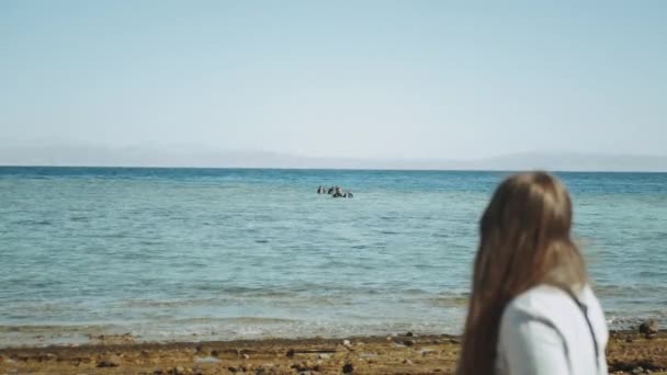 Femme regarde comment le groupe de plongeurs sous-marins vont plonger dans la mer rouge, journée ensoleillée et l'eau claire à Dahab, Egypte mer rouge, 4k — Video