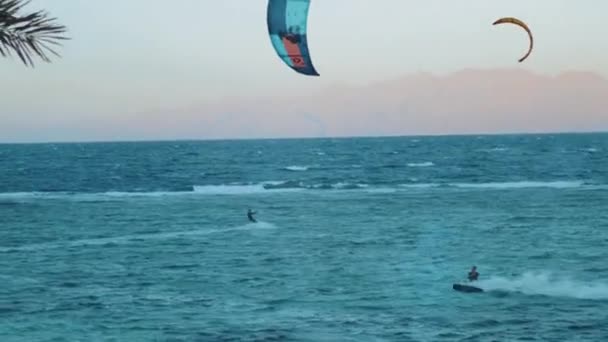 Cometa surfeando en aguas cristalinas en Dahab Egipto. Explorando el agua azul con montañas en el fondo y la gente windsurf y kitesurf, 4k — Vídeo de stock