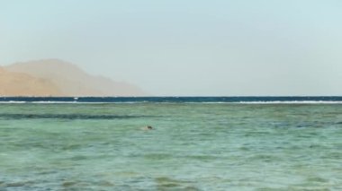 Kızıl denizde şnorkelle yüzen adam, güzel mavi deniz manzarası ve berrak gökyüzü, denizdeki dalgalar ve ufuktaki dağlar, Mısır, Dahab, 4k