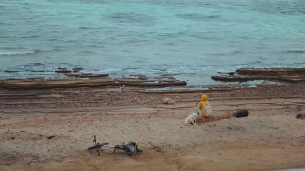 Mujer bonita con perro Labrador Retriever en la playa costera pedregosa cerca del mar, las olas se rompen en la orilla, Egipto Sinaí montaña en el fondo, 4k — Vídeos de Stock