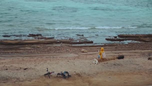 Mujer bonita con perro Labrador Retriever en la playa costera pedregosa cerca del mar, las olas se rompen en la orilla, Egipto Sinaí montaña en el fondo, 4k — Vídeos de Stock