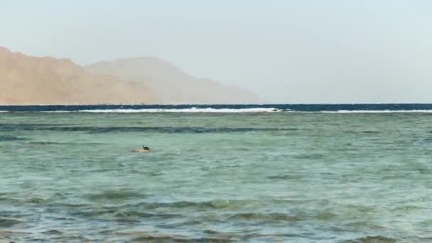 Άνθρωπος snorkeling στην κόκκινη θάλασσα, όμορφο τοπίο της γαλάζιας θάλασσας και του καθαρού ουρανού, κύματα στη θάλασσα και τα βουνά στον ορίζοντα Αίγυπτος, Dahab, 4k — Αρχείο Βίντεο