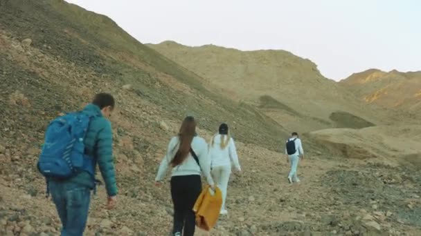 Gruppe von Touristen spazieren entlang der Felsschlucht in der heißen Wüste, Touristen fotografieren und amüsieren sich. Wüste Berge Hintergrund, Ägypten, Sinai, 4k — Stockvideo