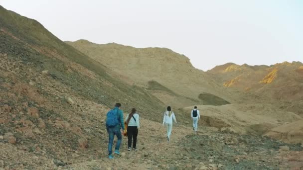 Grupo de paseo turístico a lo largo del cañón de roca en el desierto caliente, los turistas toman fotos y se divierten. Montañas del desierto de fondo, Egipto, Sinaí, 4k — Vídeos de Stock