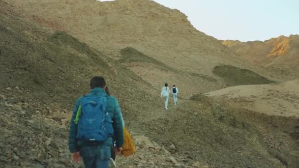 Grupo de paseo turístico a lo largo del cañón de roca en el desierto caliente, los turistas toman fotos y se divierten. Montañas del desierto de fondo, Egipto, Sinaí, 4k — Vídeo de stock