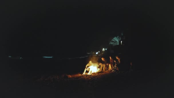 Grupo de amigos divirtiéndose cerca de la fogata en la playa cerca del mar por la noche, 4k — Vídeos de Stock