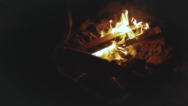 Close-up de fogueira, grupo de amigos se divertindo perto da fogueira na praia perto do mar à noite, 4k — Vídeo de Stock