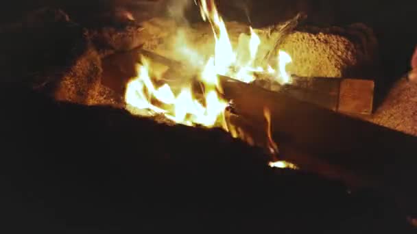 Gros plan du feu de camp, groupe d'amis qui s'amusent près du feu de camp sur la plage près de la mer la nuit, 4k — Video