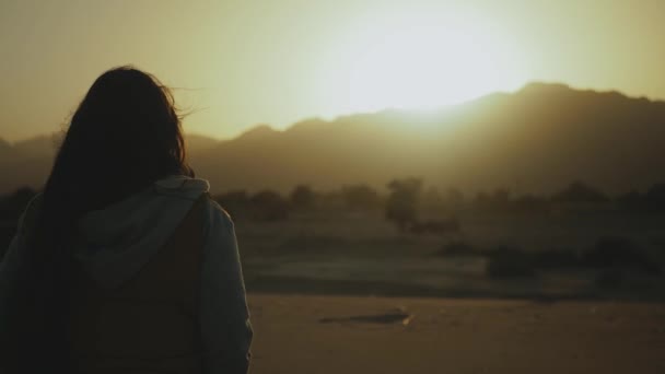 Silueta de hermosa joven caminata al atardecer en el desierto. Mujer pasando por el desierto, dunas, viento soplando, 4k — Vídeos de Stock