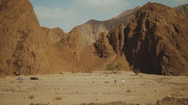 Grupo de passeio turístico ao longo do desfiladeiro de rocha no deserto quente. Deserto rochas fundo, Egito, Sinai, 4k — Vídeo de Stock