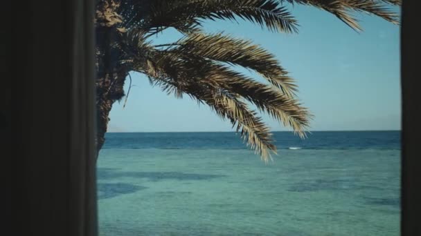 Vista da janela para o mar, ondas e palmeira, céu azul. Mar azul e céu azul, horizonte, Egito, Sinai, 4k — Vídeo de Stock